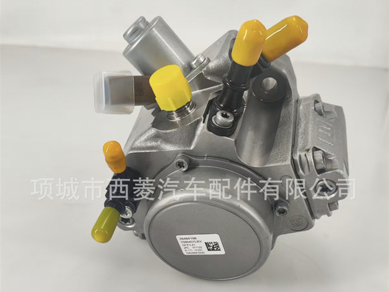 Delphi Common Rail Fuel Pump for JAC