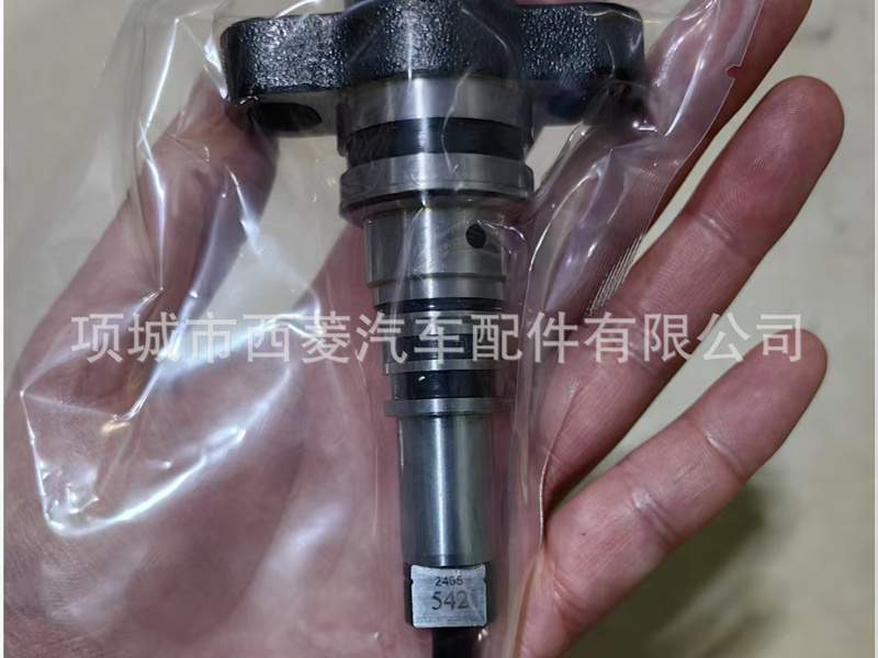 重汽柱塞 电控泵高压油泵柱塞