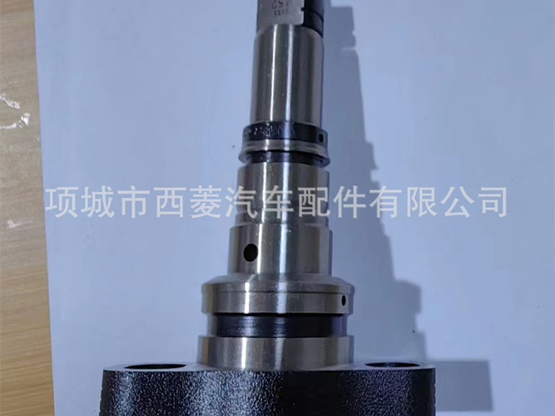 重汽 潍柴 重油柱塞X170-010S