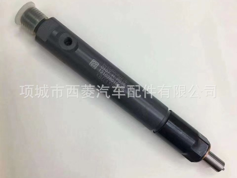 Plunger X170-010S for Sinotruk & Wei