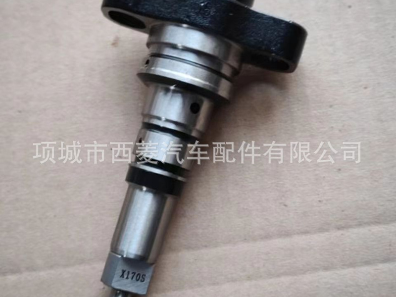 重汽 潍柴 重油柱塞X170-010S