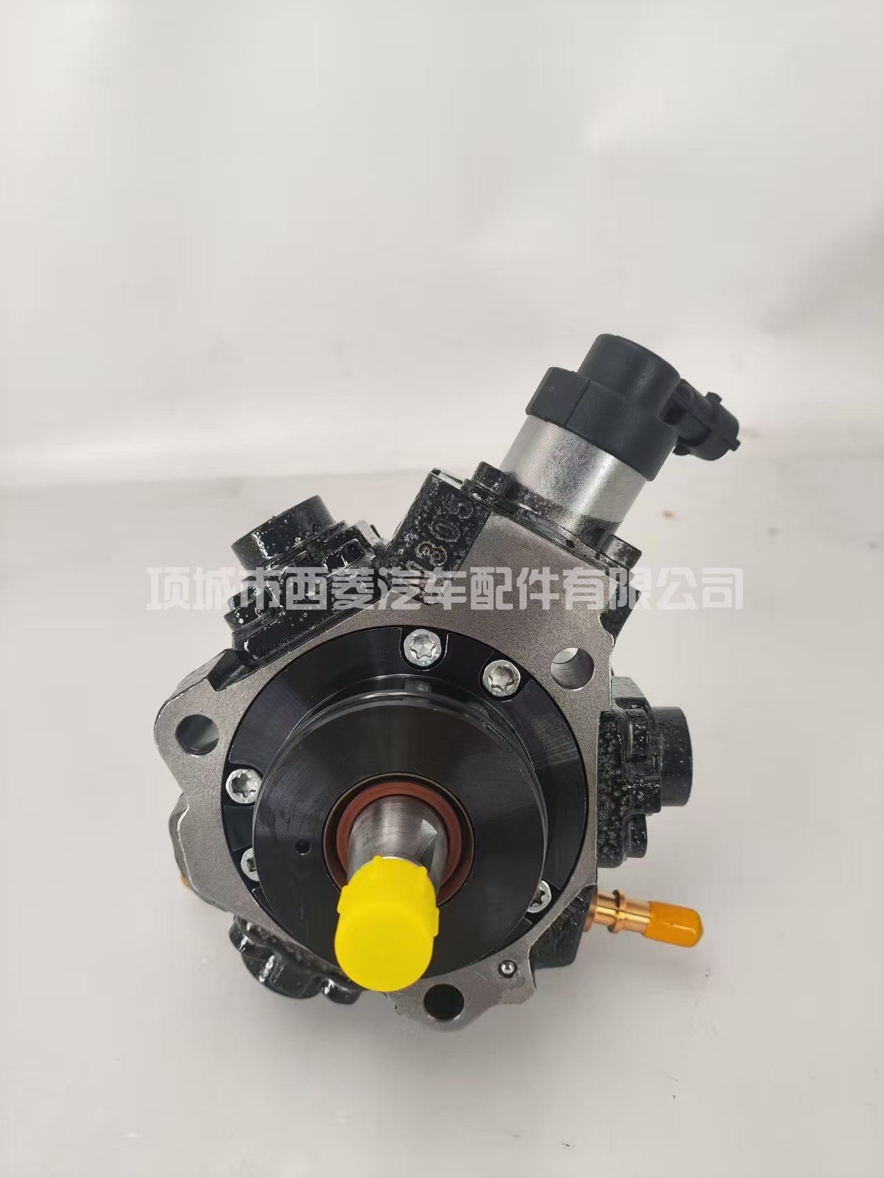 0445010250 0986437045 95516147 167002972R 燃油泵