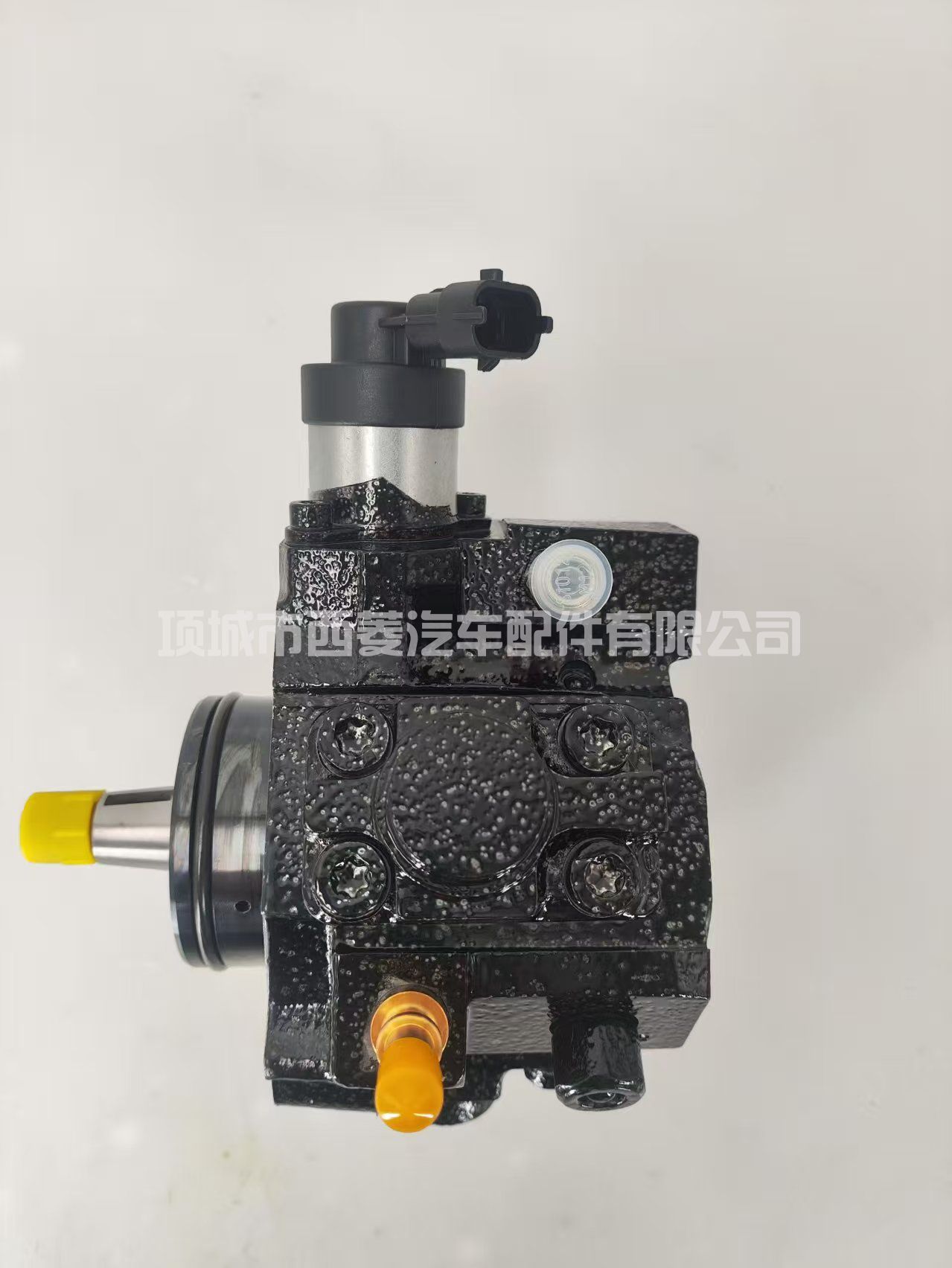 0445010250 0986437045 95516147 167002972R 燃油泵