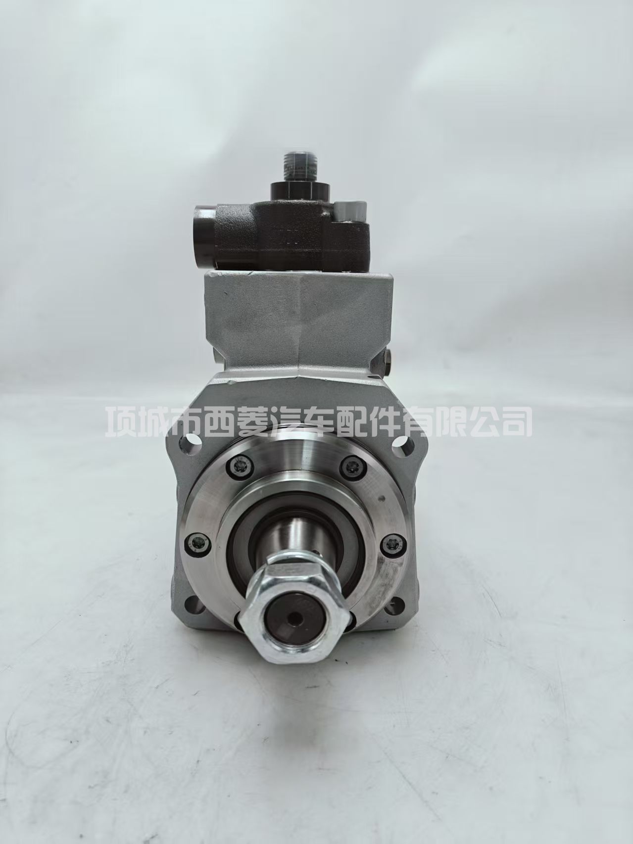 CPN5系列油泵 0445020325 适用底-特-律等发动机