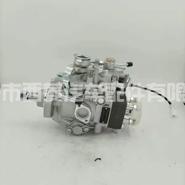 泵组件燃油喷射喷油泵33102-42480 33102-42490 33102-42500 33102-42690用于现代PoterII Porter 2 H100