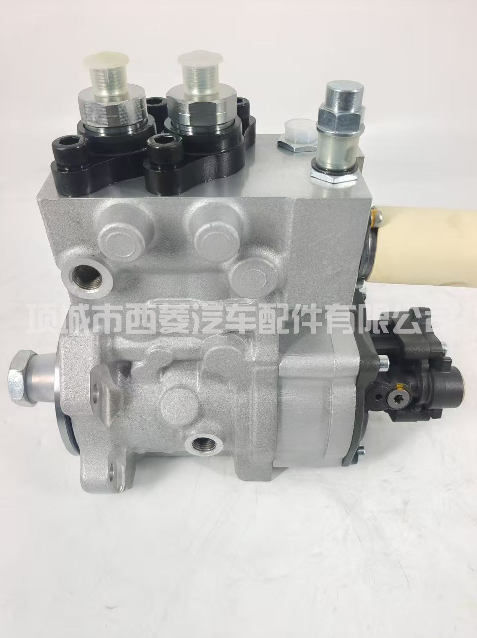 燃油泵 0445020116 612600080674和0445020216 VG1034080001