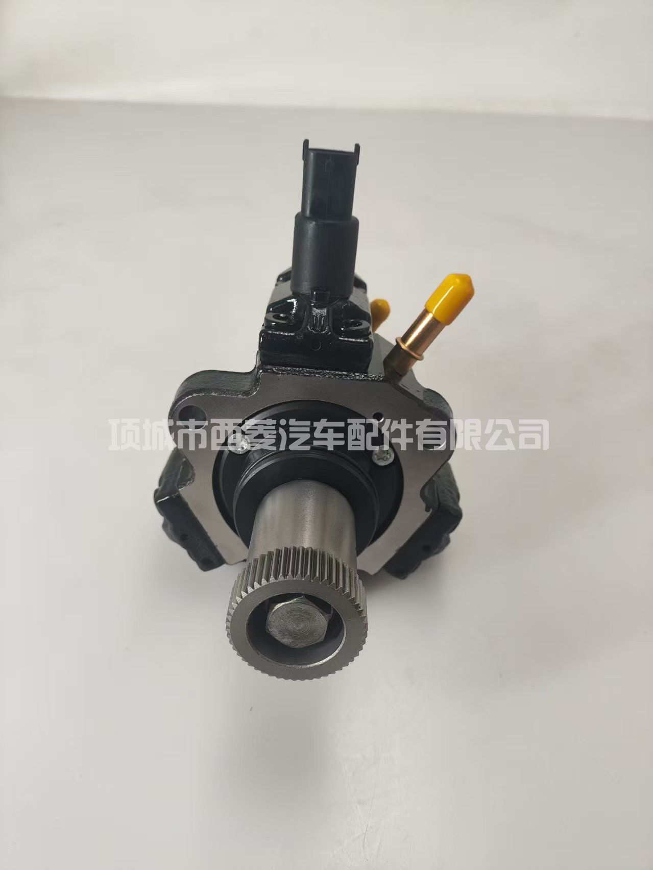 0445020002 0986437501 油泵1920AZ 99483254 5001848538