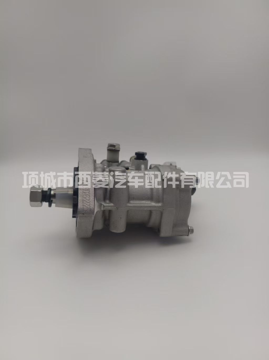 0445025502高压共轨柴油燃油泵总成928A628365现货3408521810000