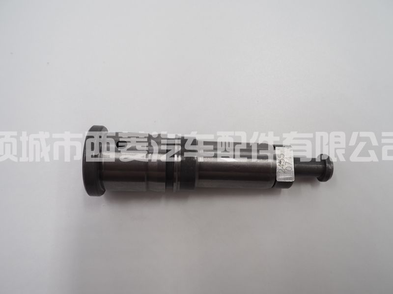 2418455074 2455-074 柴油车喷油泵柱塞偶件 2 418 455 074