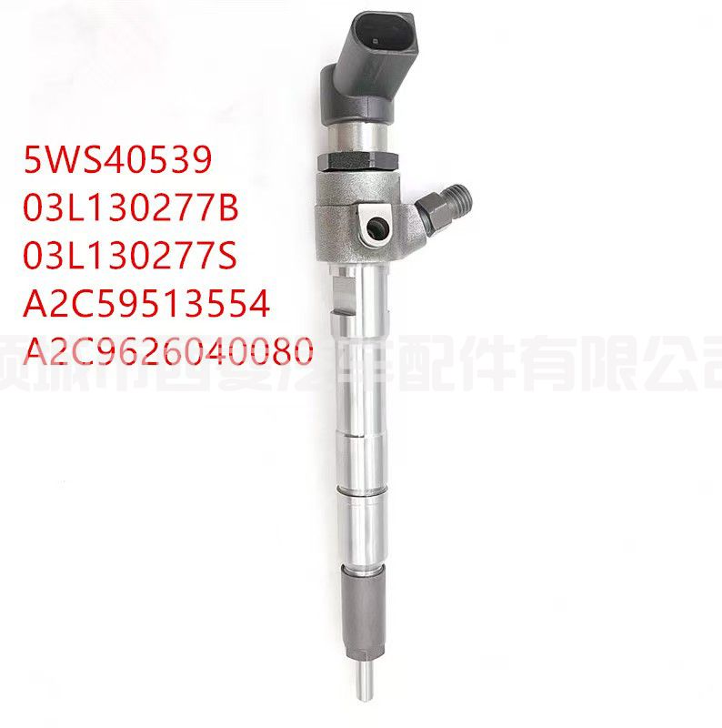 5WS40539 共轨喷油器 A2C59