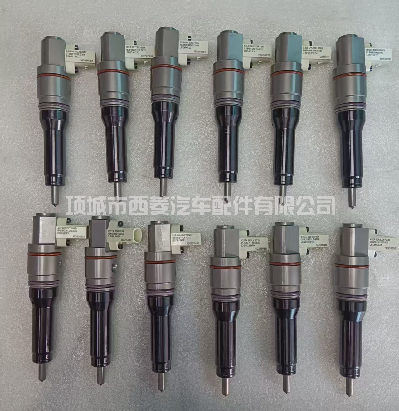 2005596 燃油喷射器 BEBJ1D