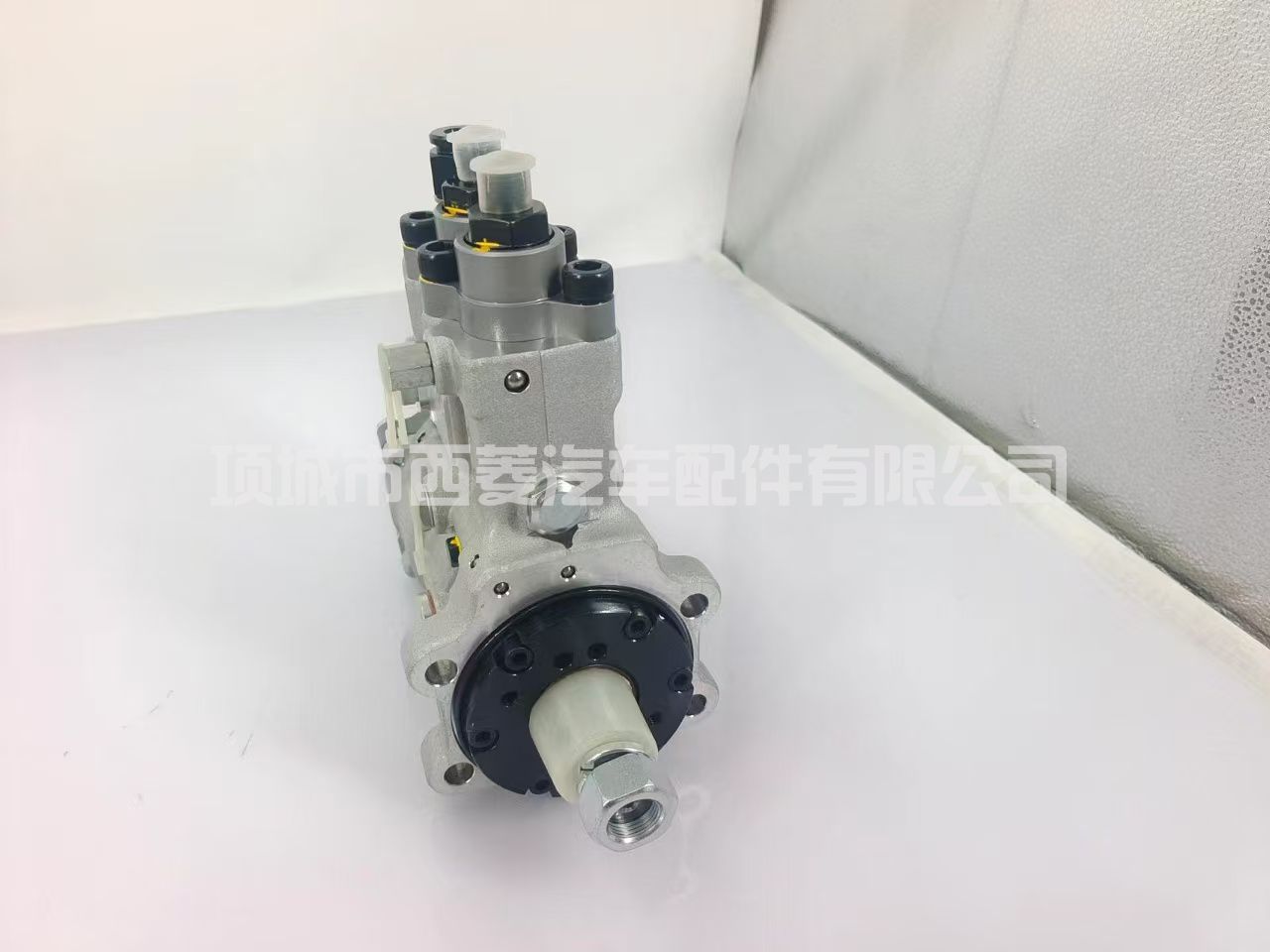 0445025624 0445025623 1000570877 燃油喷射泵