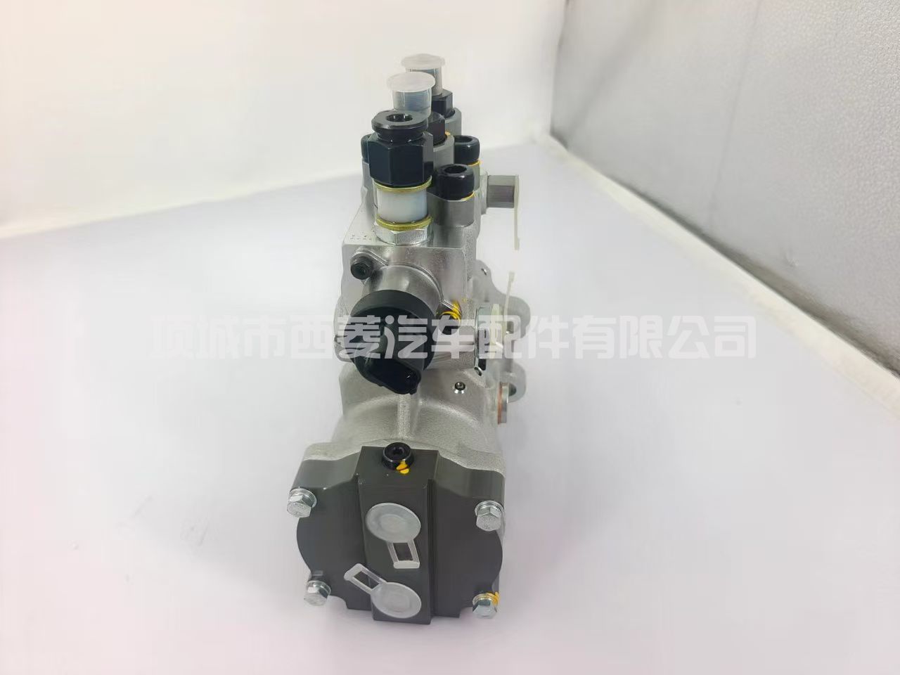 0445025624 0445025623 1000570877 燃油喷射泵