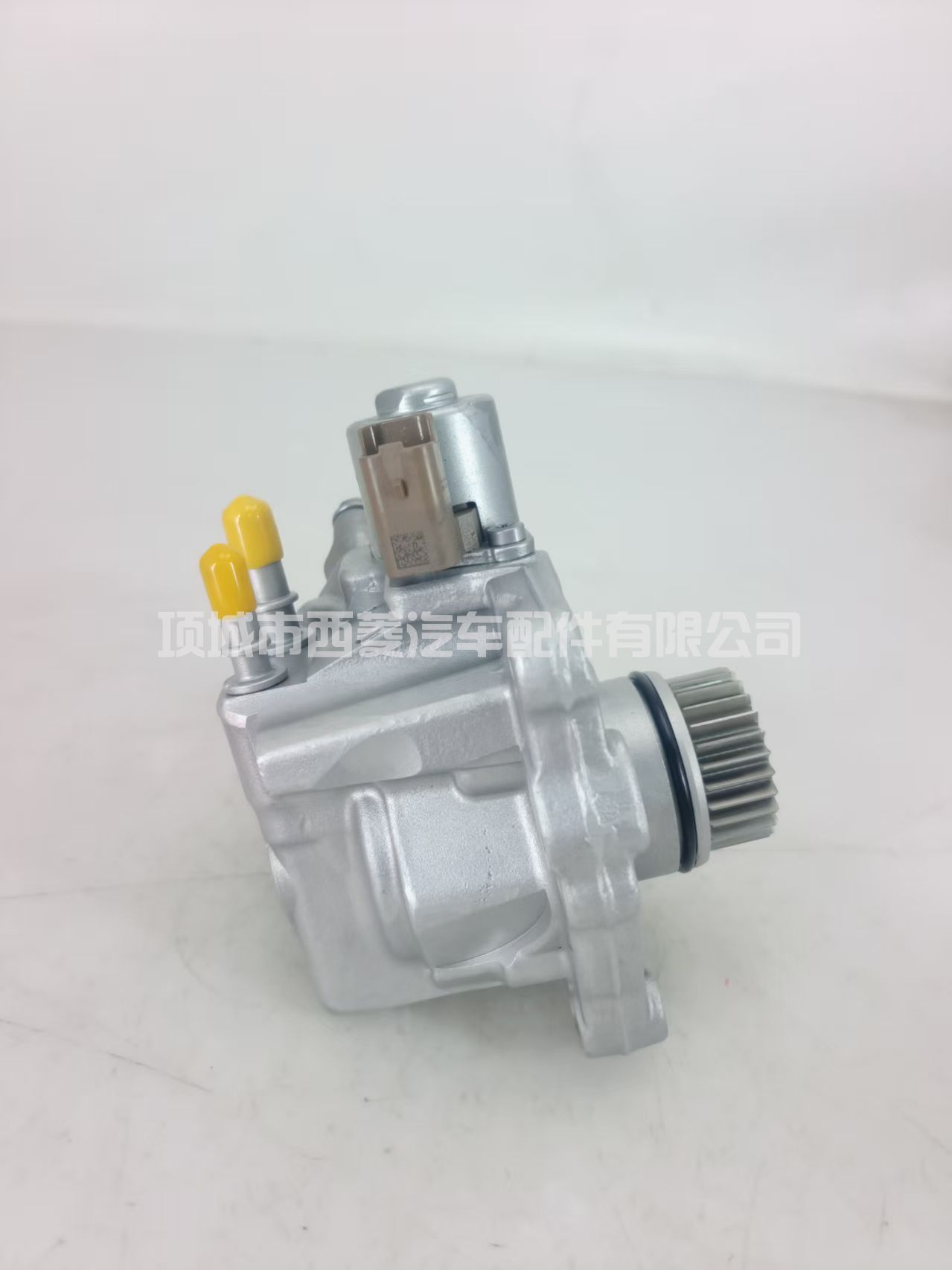 燃油泵 28384347 适用于标致雪铁龙 福特 2.0 BlueHDi 9674984480 DW10F